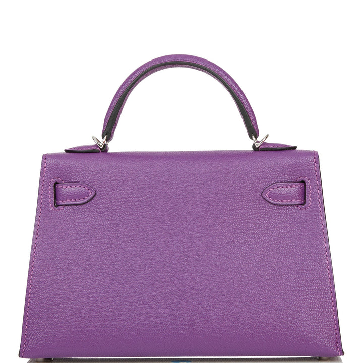 Hermes Kelly 20 Sellier Violet Verso Chèvre Palladium Hardware