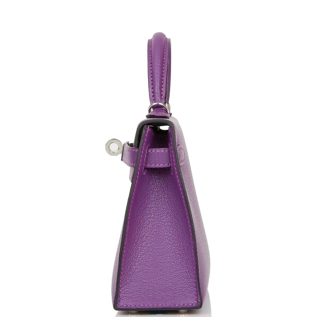 Hermes Kelly 20 Sellier Violet Verso Chèvre Palladium Hardware