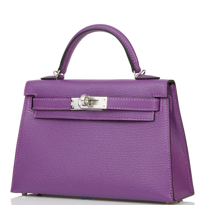 Hermes Kelly 20 Sellier Violet Verso Chèvre Palladium Hardware