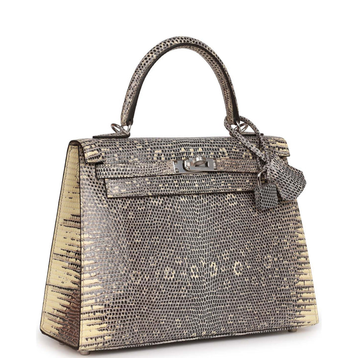 Top quality Hermes Kelly Sellier 25 Ombre Veranus Salvator Lizard Palladium Hardware