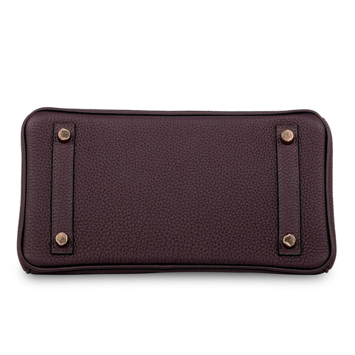 Birkin 25 Touch - Raisin Prunoir Togo/Alligator