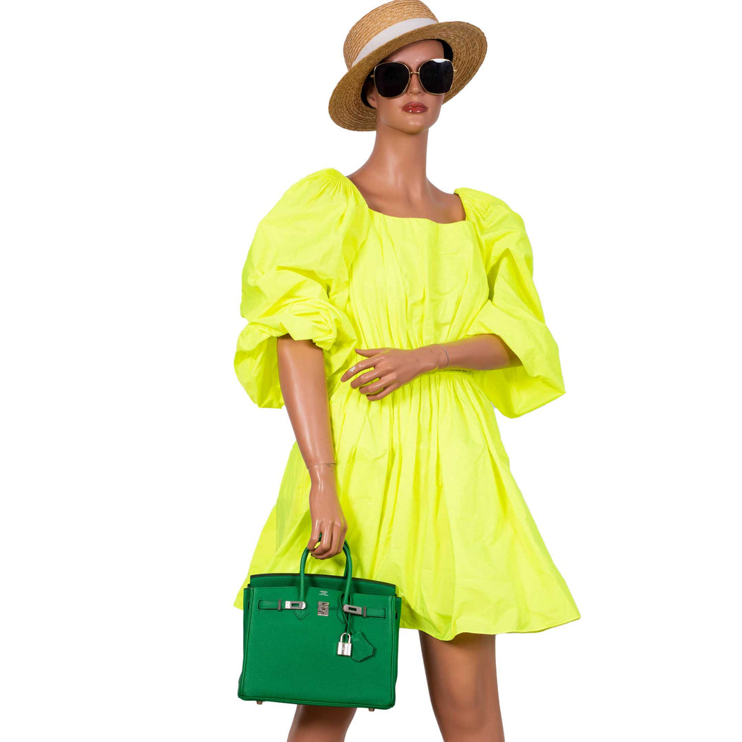 Hermès Birkin 25 Bambou (Bamboo) Green Togo with Palladium Hardware - 2014, R Square
