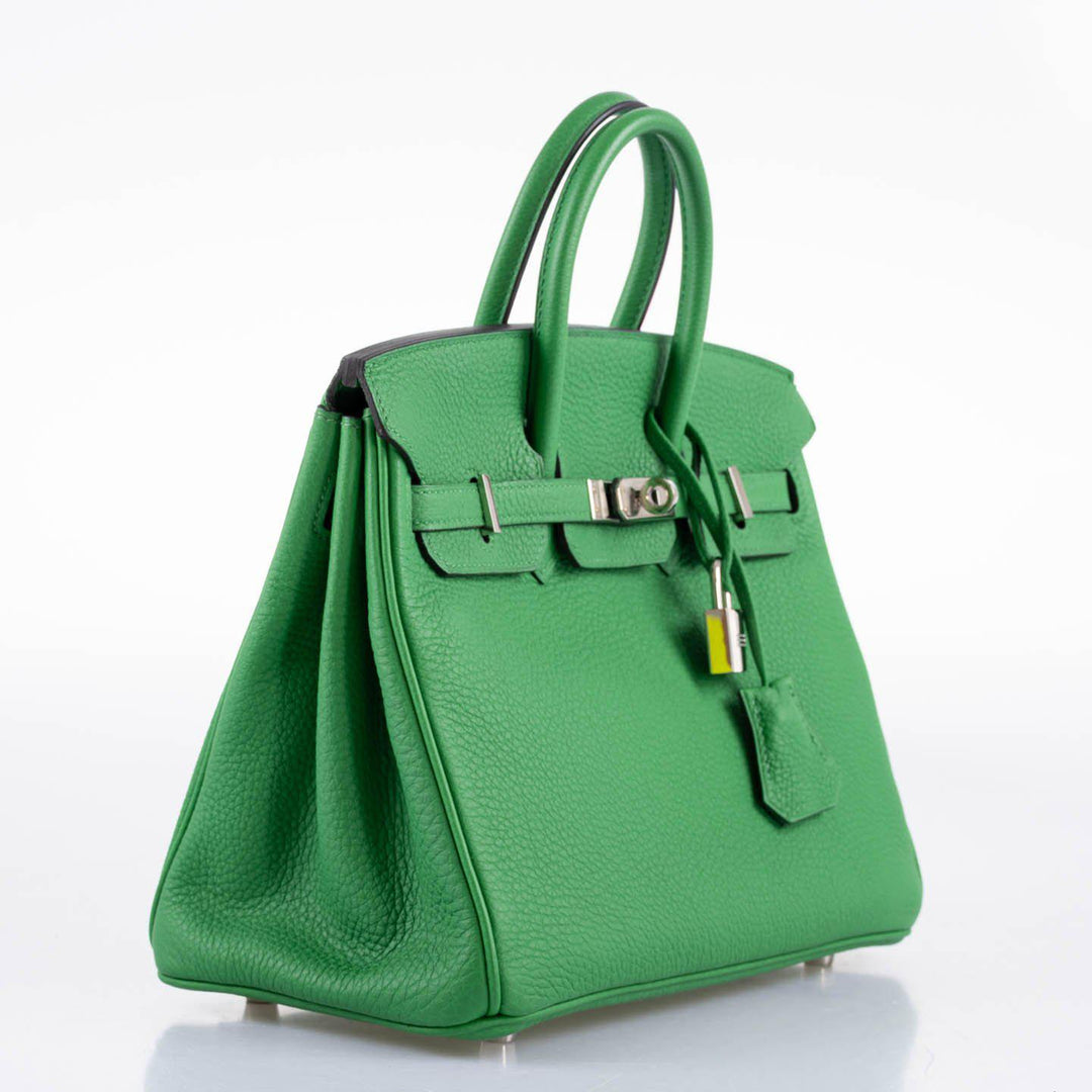 Hermès Birkin 25 Bambou (Bamboo) Green Togo with Palladium Hardware - 2014, R Square
