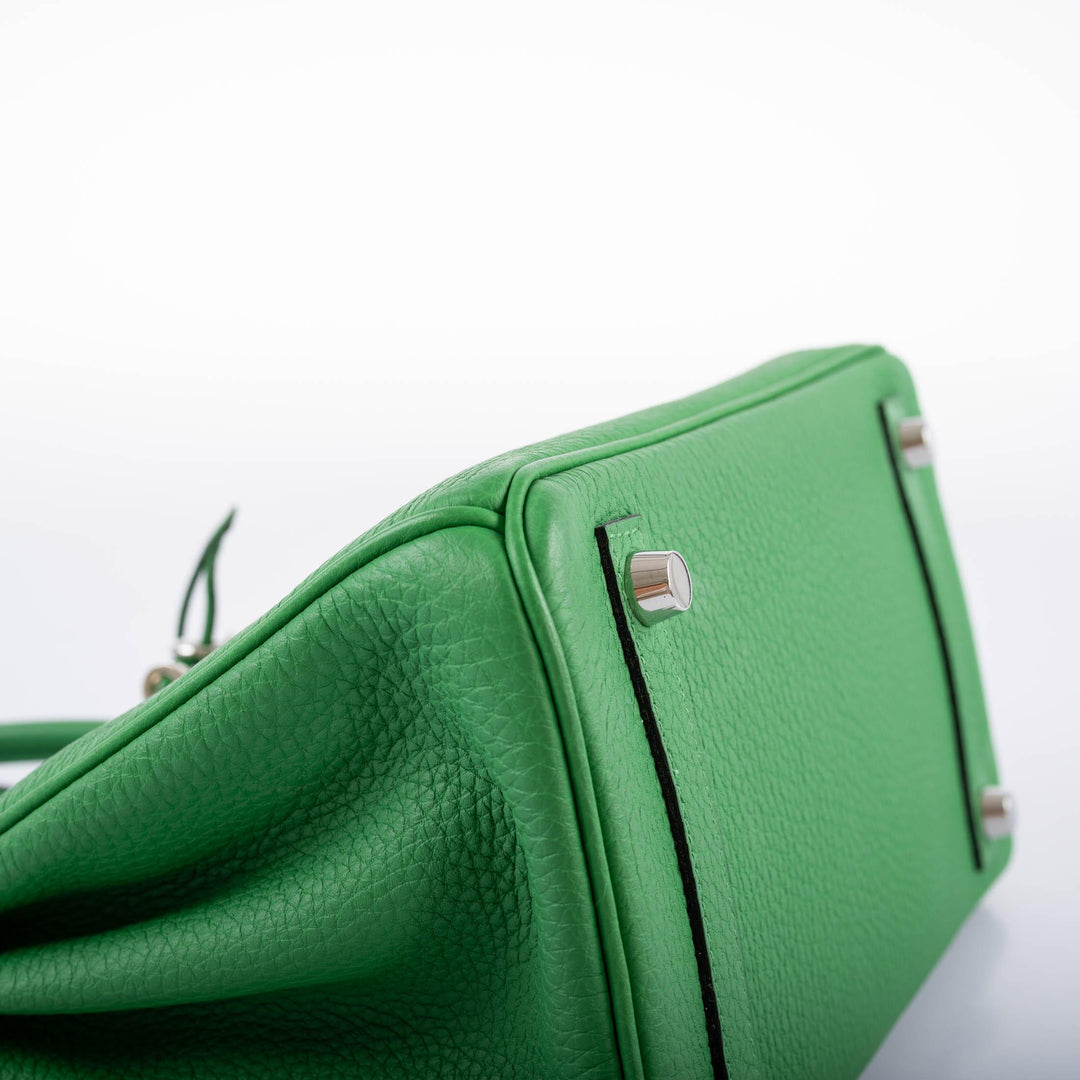 Hermès Birkin 25 Bambou (Bamboo) Green Togo with Palladium Hardware - 2014, R Square