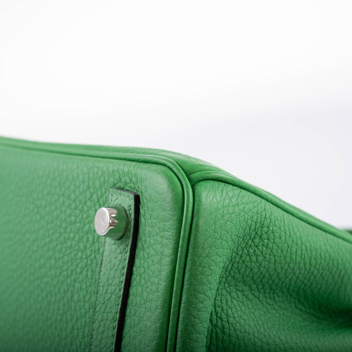 Hermès Birkin 25 Bambou (Bamboo) Green Togo with Palladium Hardware - 2014, R Square