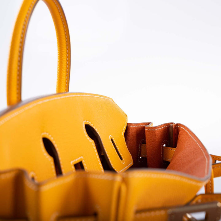 Top quality Hermes Birkin 25 Candy Collection Jaune D’or Epsom Gold Hardware