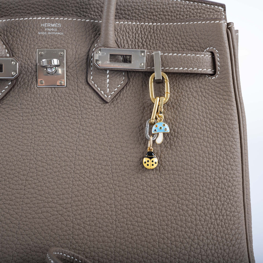 Top quality Hermes Birkin 25 Etoupe Togo Palladium Hardware