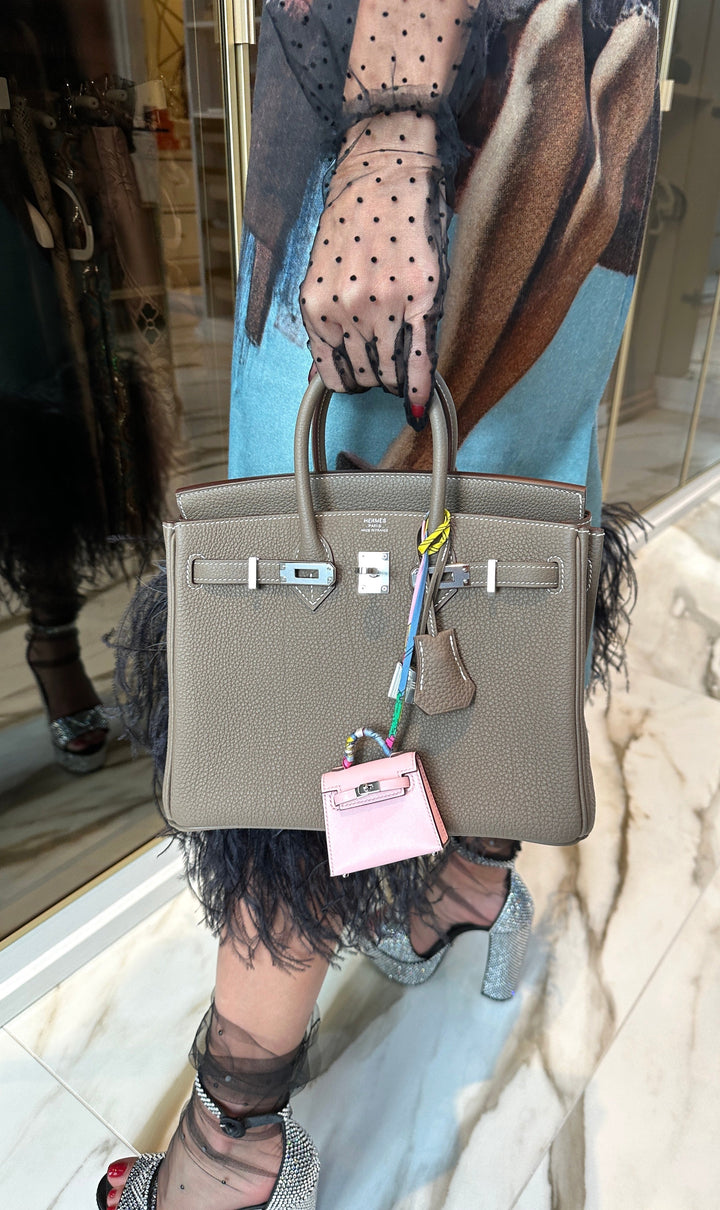 Top quality Hermes Birkin 25 Etoupe Togo Palladium Hardware