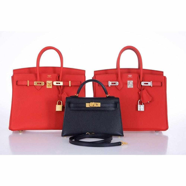 Top quality Hermes Birkin 25 Geranium Togo Gold Hardware