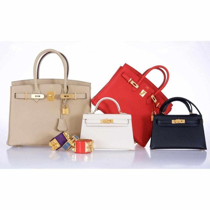 Top quality Hermes Birkin 25 Geranium Togo Gold Hardware