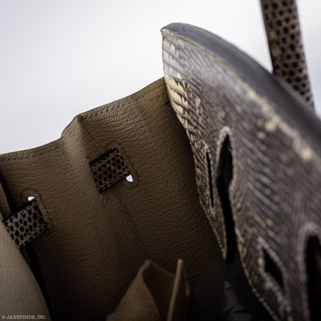 Hermès Birkin 25 Ombre Lizard Palladium Hardware