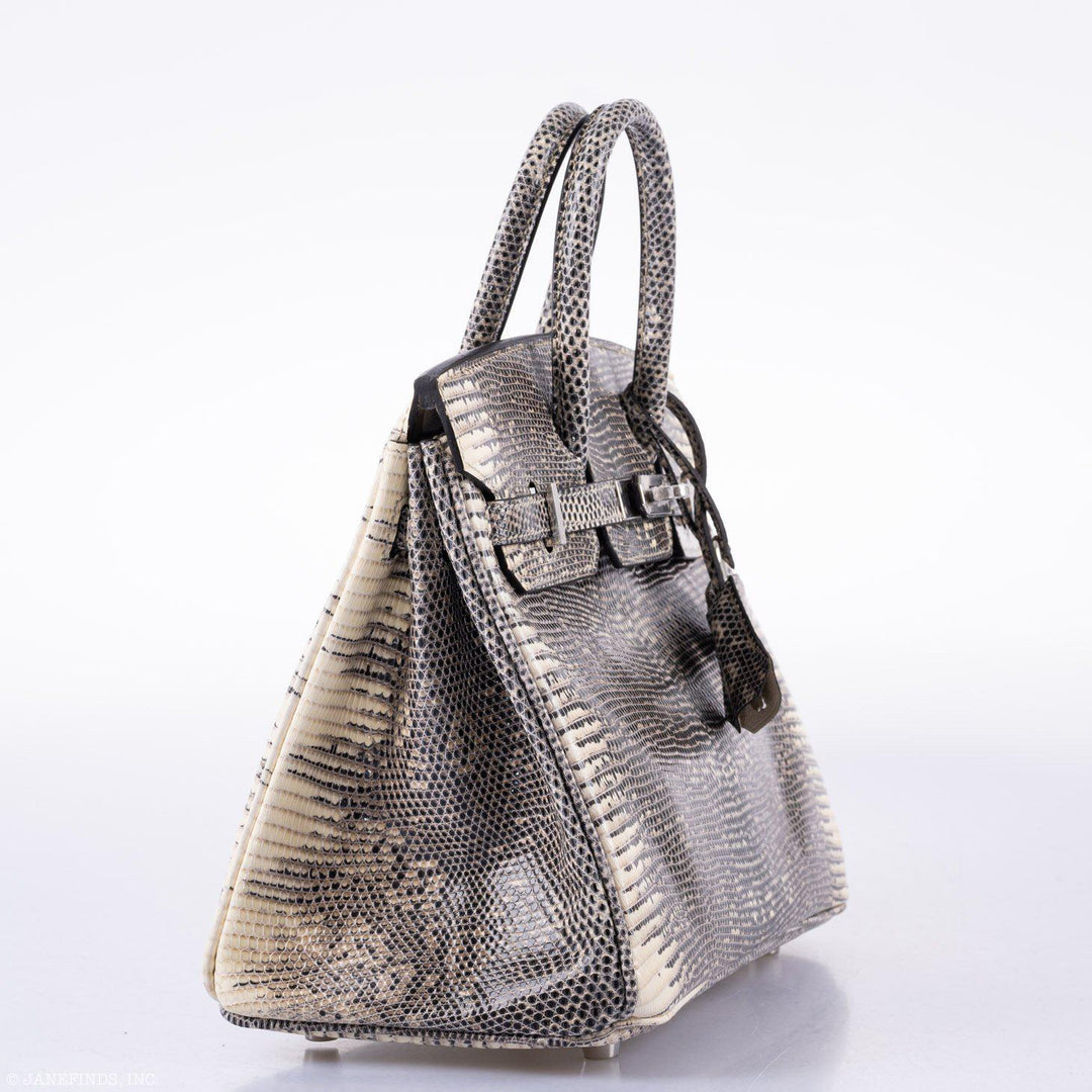 Hermès Birkin 25 Ombre Lizard Palladium Hardware