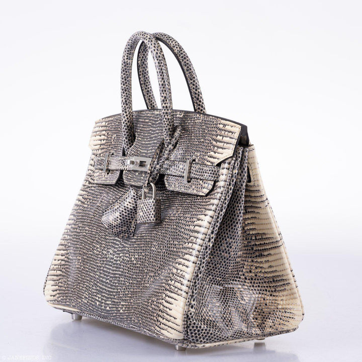 Hermès Birkin 25 Ombre Lizard Palladium Hardware