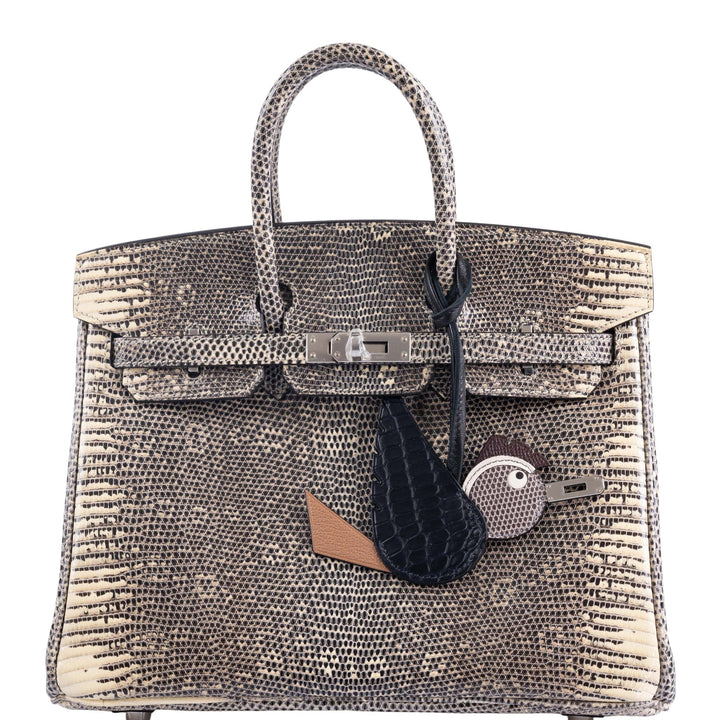 Top quality Hermes Birkin 25 Ombré Lizard Palladium Hardware