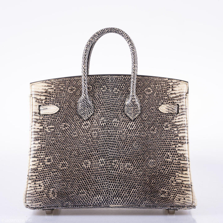 Hermès Birkin 25 Ombre Lizard Palladium Hardware