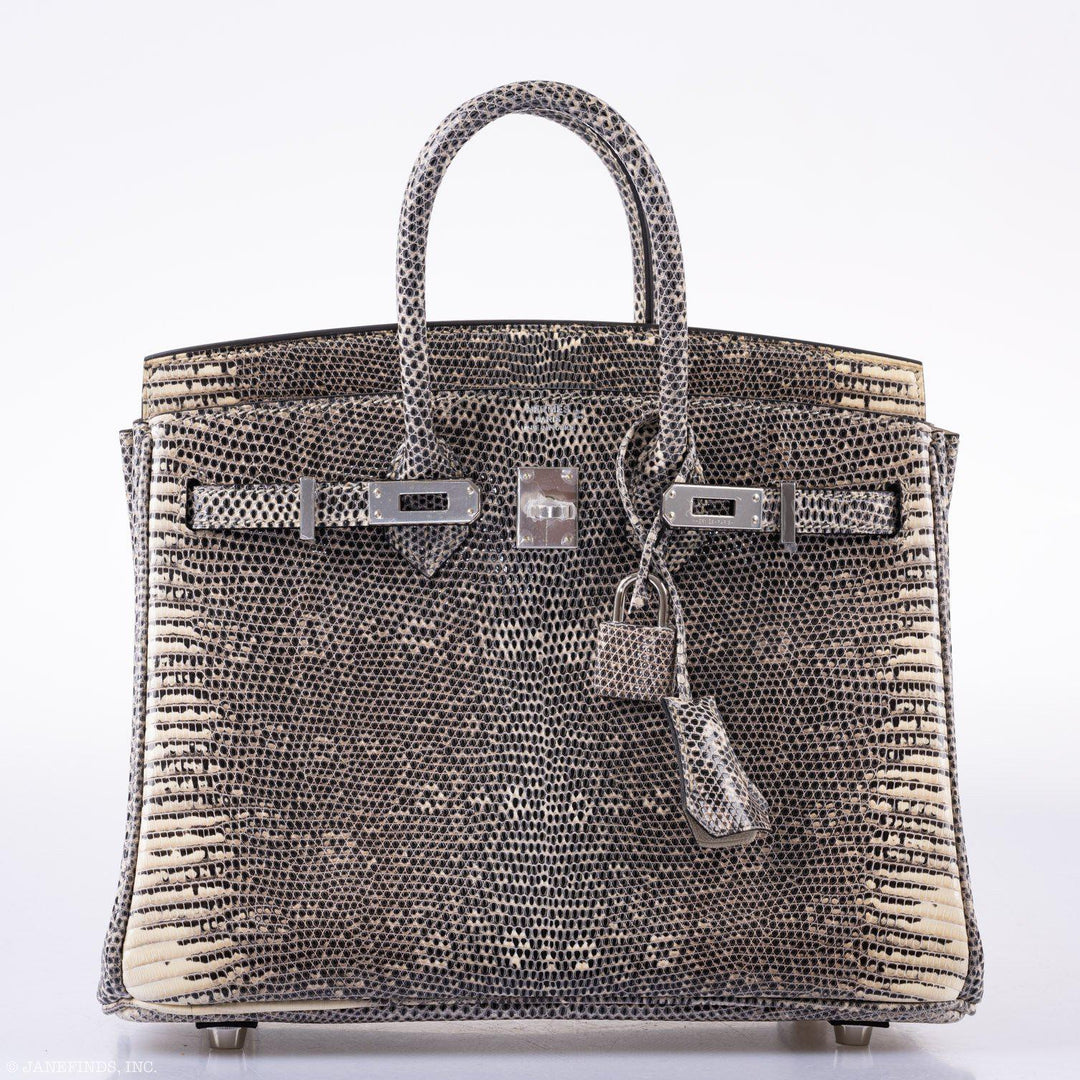 Hermès Birkin 25 Ombre Lizard Palladium Hardware
