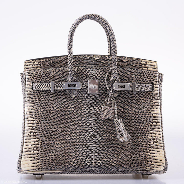 Hermès Birkin 25 Ombre Lizard Palladium Hardware
