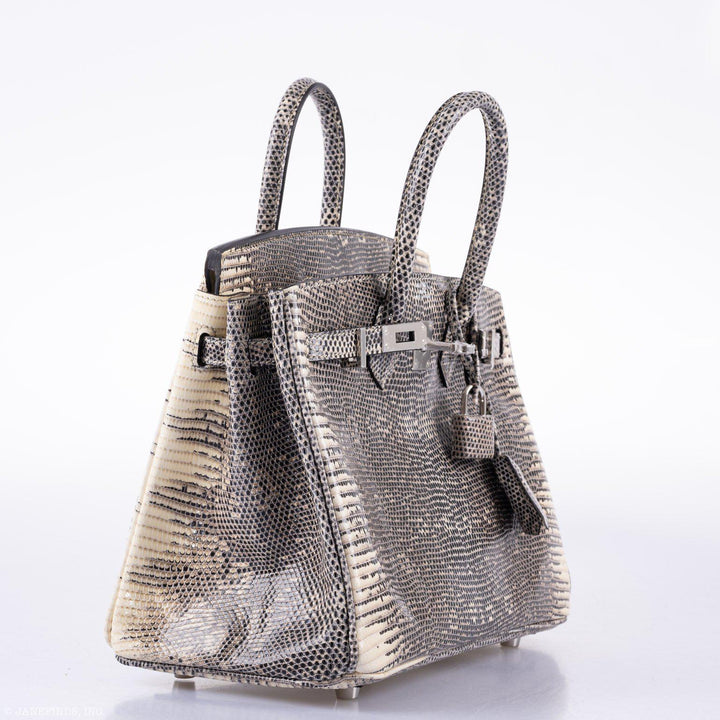 Hermès Birkin 25 Ombre Lizard Palladium Hardware