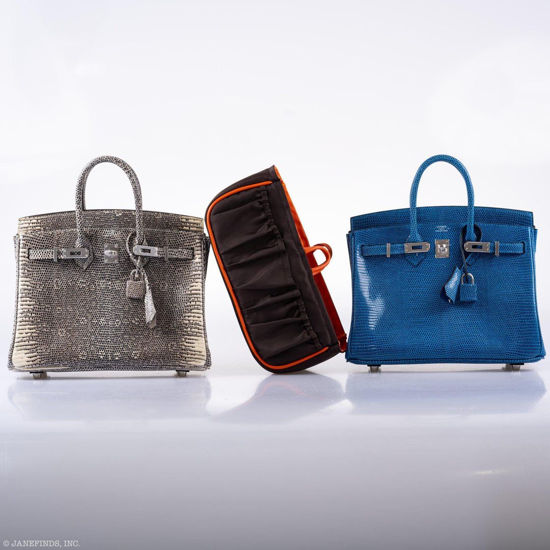 Hermès Birkin 25 Ombre Lizard Palladium Hardware