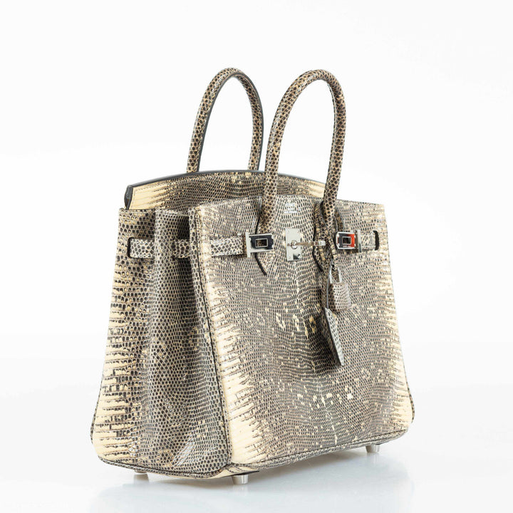Hermès Birkin 25 Ombre Lizard Palladium Hardware - Rare