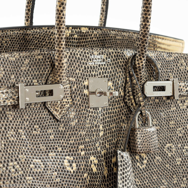 Hermès Birkin 25 Ombre Lizard Palladium Hardware - Rare