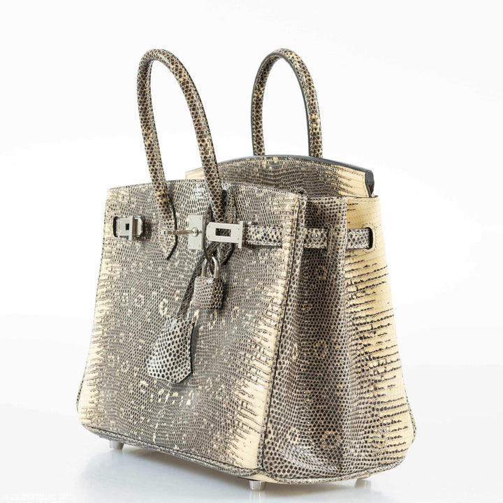 Hermès Birkin 25 Ombre Lizard Palladium Hardware - Rare
