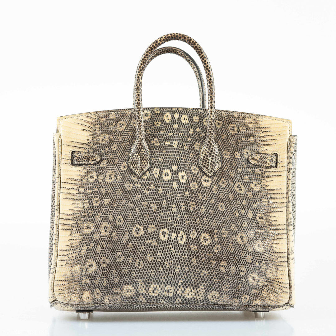 Hermès Birkin 25 Ombre Lizard Palladium Hardware - Rare