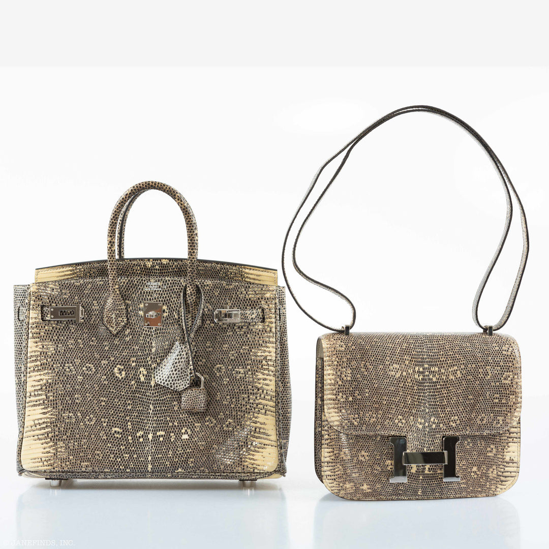 Hermès Birkin 25 Ombre Lizard Palladium Hardware - Rare