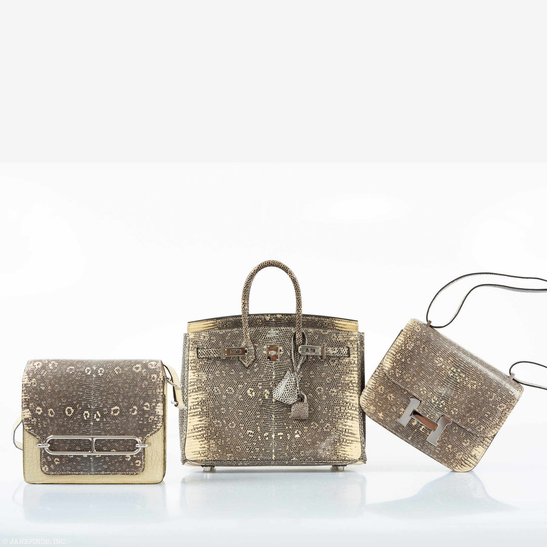 Hermès Birkin 25 Ombre Lizard Palladium Hardware - Rare