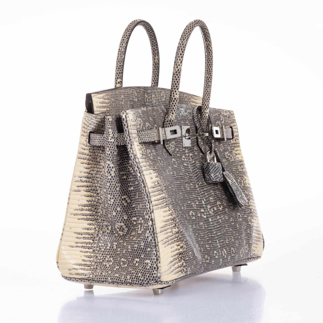 Hermès Birkin 25 Ombre Lizard Palladium Hardware - Very Rare