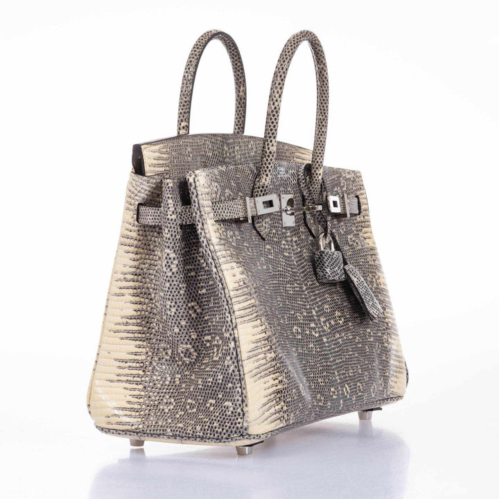 Hermès Birkin 25 Ombre Lizard Palladium Hardware - Very Rare