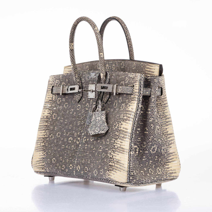 Hermès Birkin 25 Ombre Lizard Palladium Hardware - Very Rare