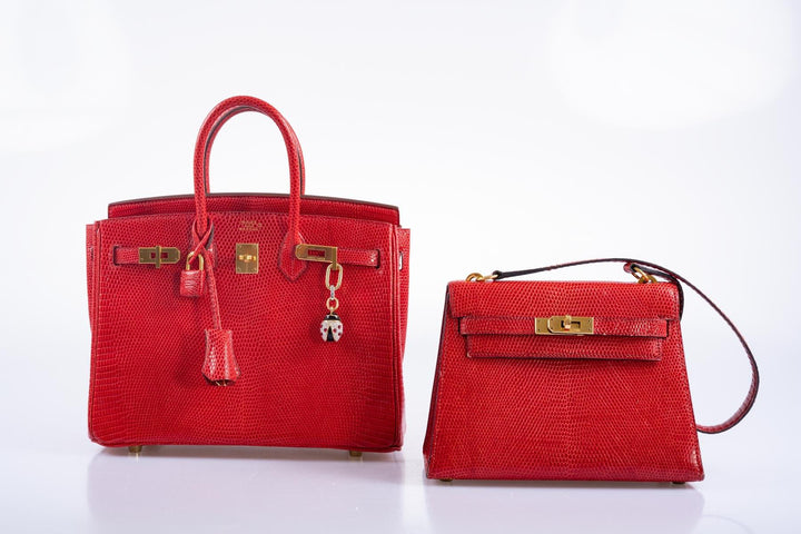 Top quality Hermes Birkin 25 Rouge Vif Salvator Lizard Gold Hardware