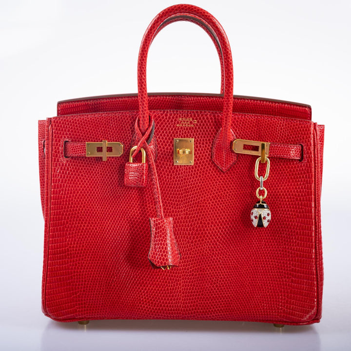 Top quality Hermes Birkin 25 Rouge Vif Salvator Lizard Gold Hardware