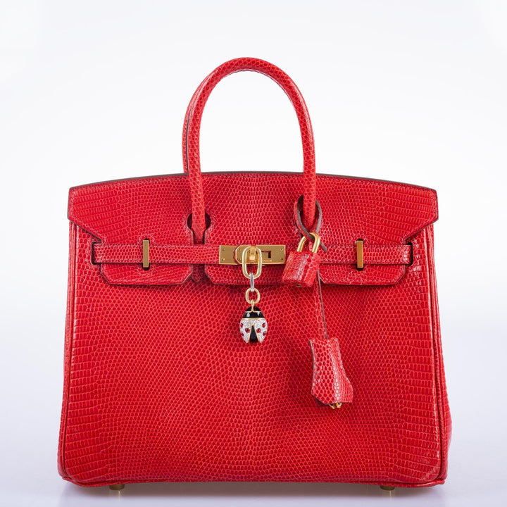 Top quality Hermes Birkin 25 Rouge Vif Salvator Lizard Gold Hardware