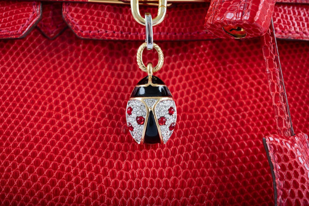 Top quality Hermes Birkin 25 Rouge Vif Salvator Lizard Gold Hardware