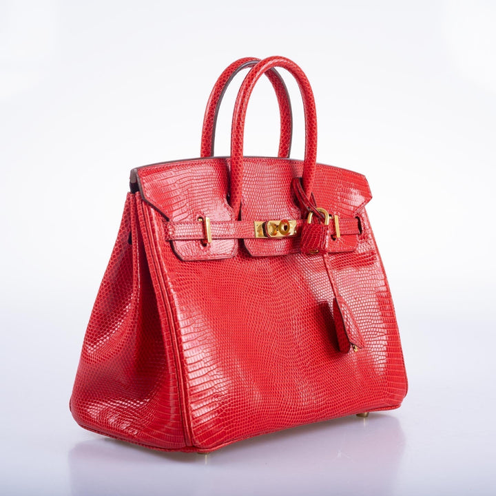 Top quality Hermes Birkin 25 Rouge Vif Salvator Lizard Gold Hardware