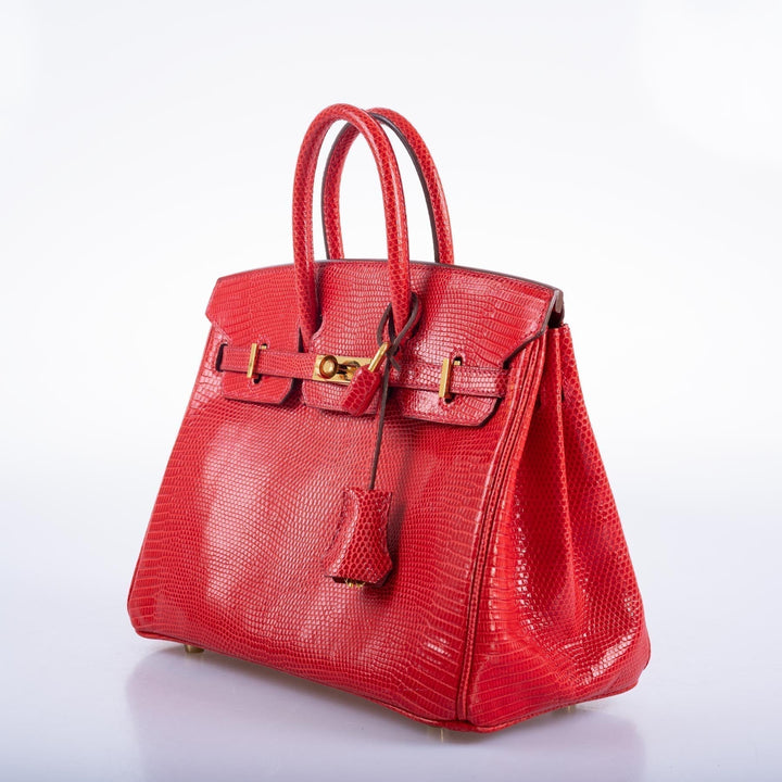 Top quality Hermes Birkin 25 Rouge Vif Salvator Lizard Gold Hardware
