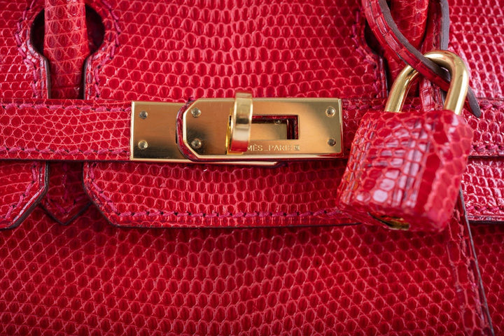 Top quality Hermes Birkin 25 Rouge Vif Salvator Lizard Gold Hardware