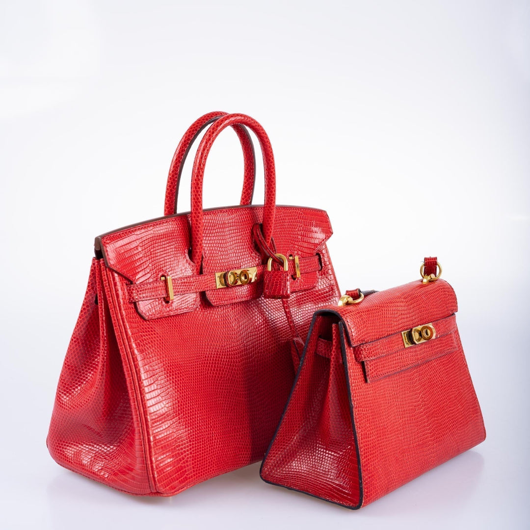 Top quality Hermes Birkin 25 Rouge Vif Salvator Lizard Gold Hardware