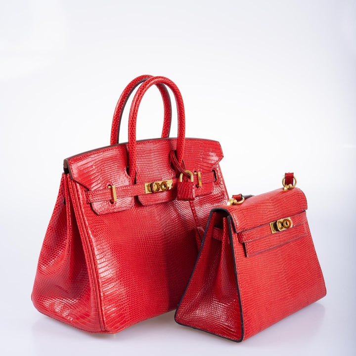 Top quality Hermes Birkin 25 Rouge Vif Salvator Lizard Gold Hardware