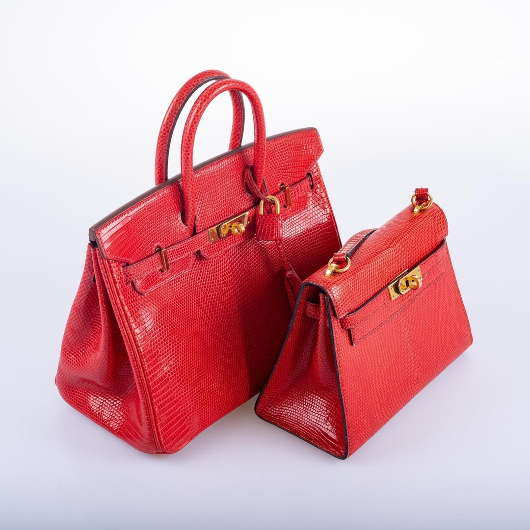 Top quality Hermes Birkin 25 Rouge Vif Salvator Lizard Gold Hardware