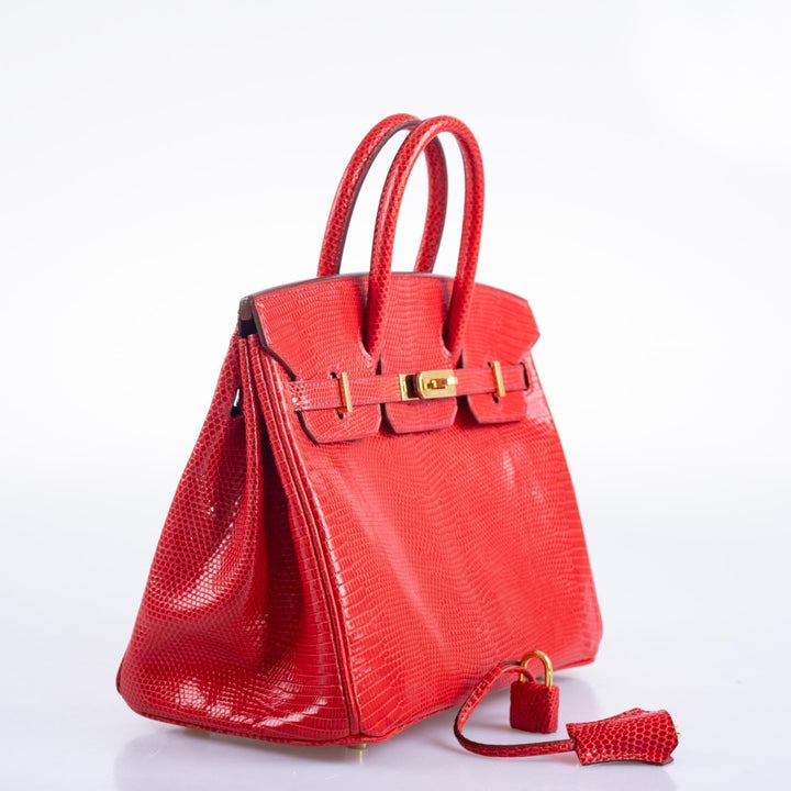 Top quality Hermes Birkin 25 Rouge Vif Salvator Lizard Gold Hardware