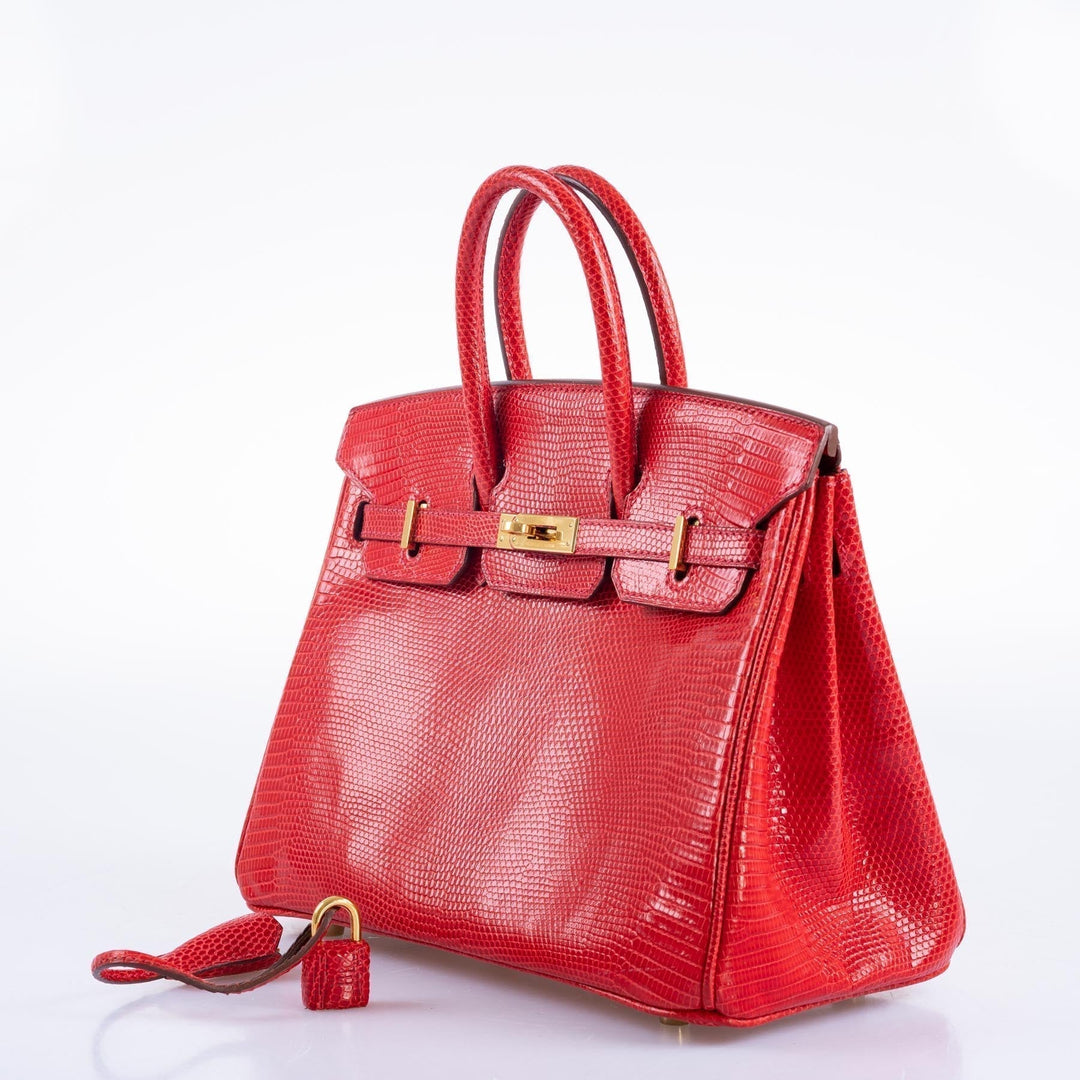 Top quality Hermes Birkin 25 Rouge Vif Salvator Lizard Gold Hardware