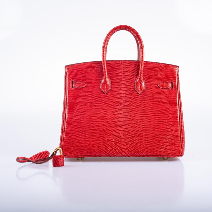 Top quality Hermes Birkin 25 Rouge Vif Salvator Lizard Gold Hardware
