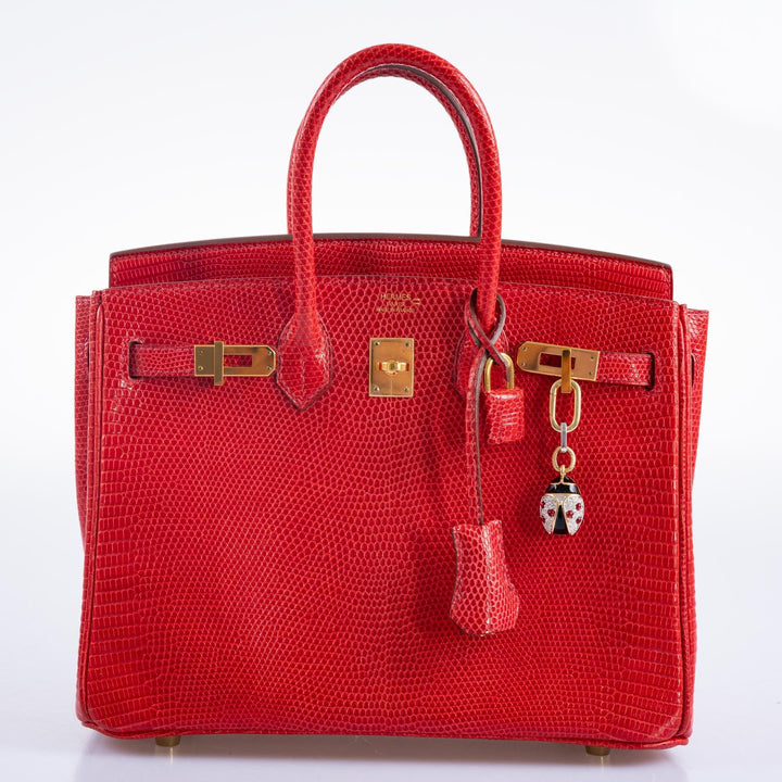 Top quality Hermes Birkin 25 Rouge Vif Salvator Lizard Gold Hardware