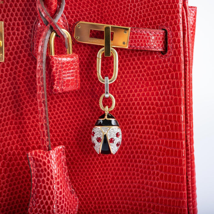 Top quality Hermes Birkin 25 Rouge Vif Salvator Lizard Gold Hardware