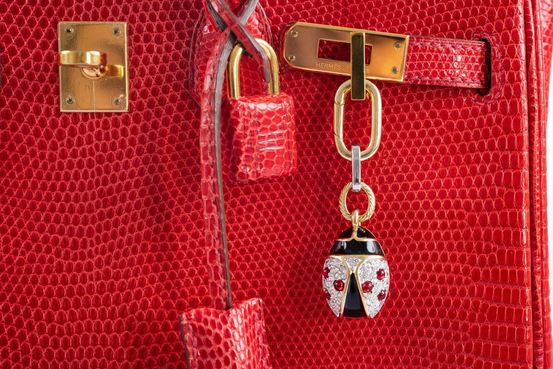 Top quality Hermes Birkin 25 Rouge Vif Salvator Lizard Gold Hardware