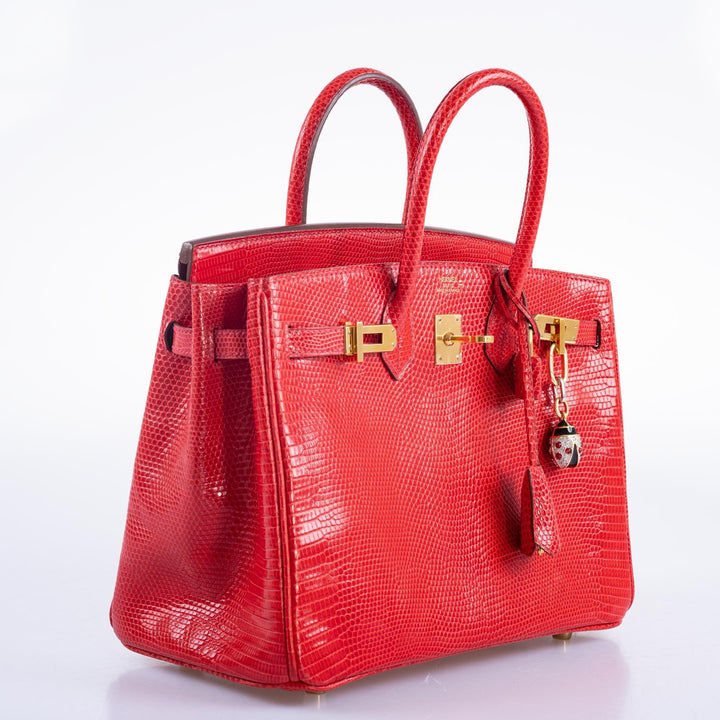 Top quality Hermes Birkin 25 Rouge Vif Salvator Lizard Gold Hardware
