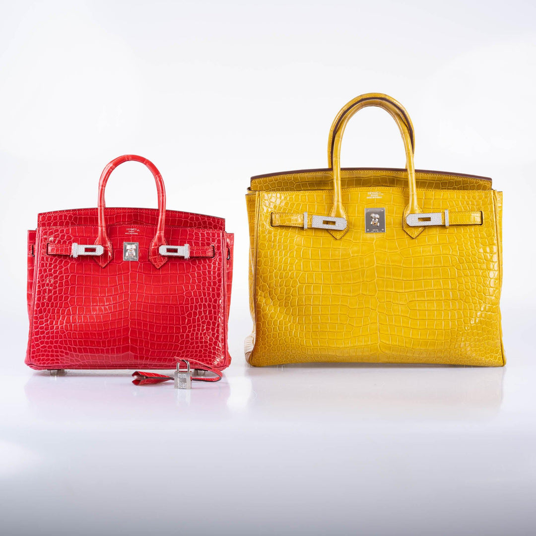 Hermès Birkin 25 Rouge de Coeur Shiny Porosus Crocodile 18K White Gold Hardware & Diamonds - 2020, Y